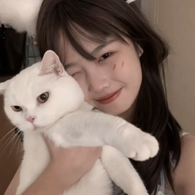 我的侠客