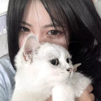极限越野摩托赛
