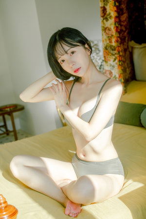 飞鸟不飞下载