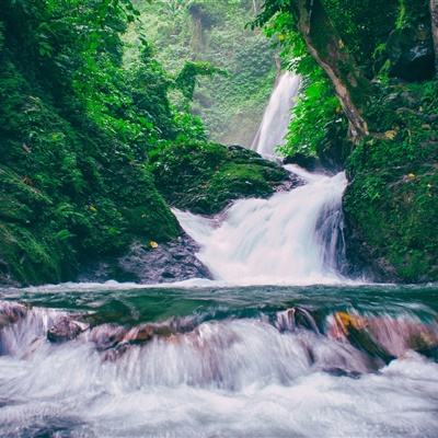 漂流者征服记塔防修改版