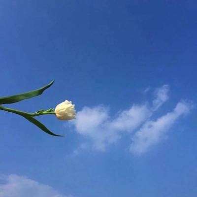 可爱宝贝庆祝祖父母节