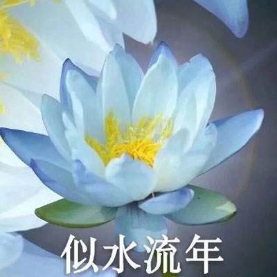 秋霞在线观看秋手机版霞截图