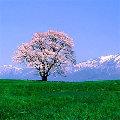 【机器人培训】安川机器人基础操作培训第五...