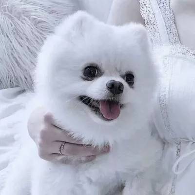 冬季摩托挑战赛