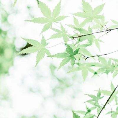 芭比的钻石蛋糕