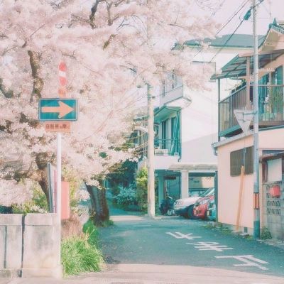 木岛生存