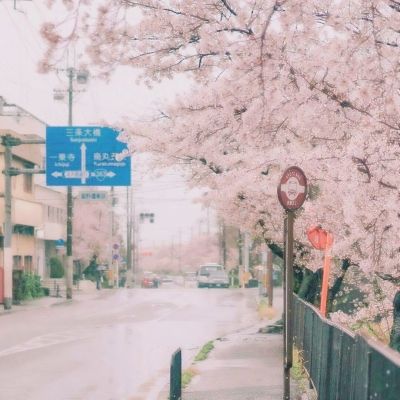 MM汉堡店3修改版
