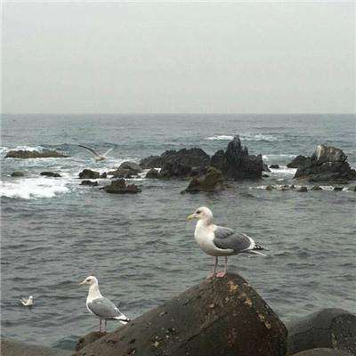 飞扬斗地主