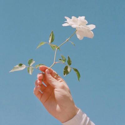 黄一级APP