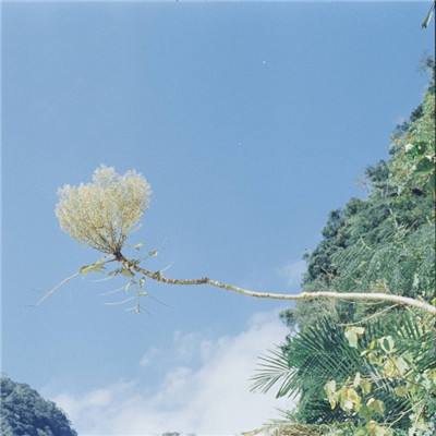 帅气女生滑轮赛