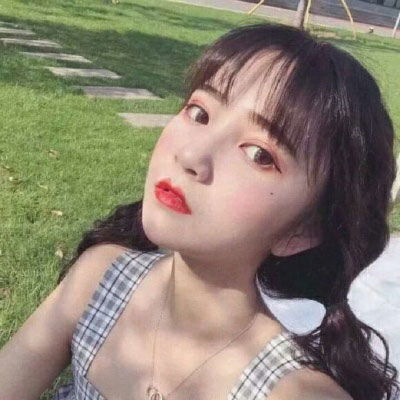 狮子拼图