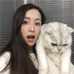 盗金父子