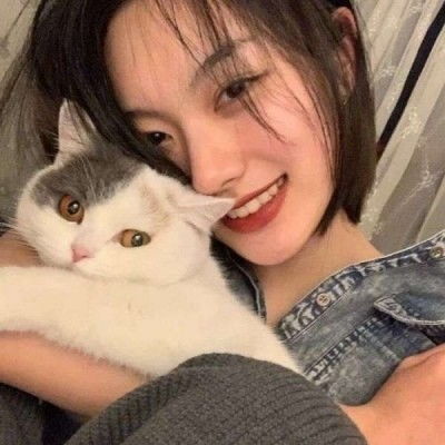 训练宠物狗