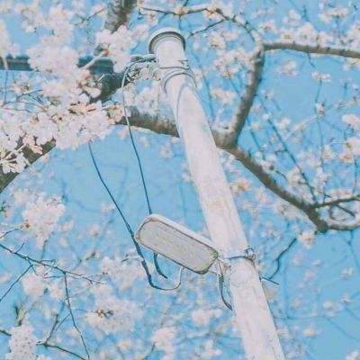 ▇秋葵视频▇在线播放截图