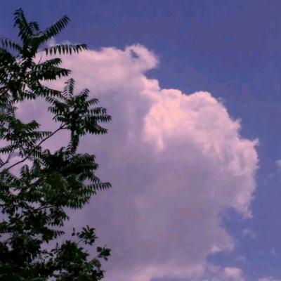 吊るし紧缚 女体拷问 つぼみ
