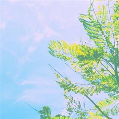 Q版少年骇客摩托
