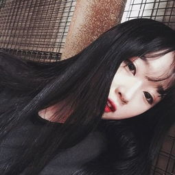 杏吧成版人app破解版截图