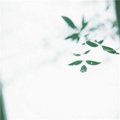 备战温网 郑钦文团队迎