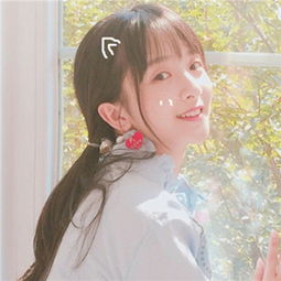 交通汽车王