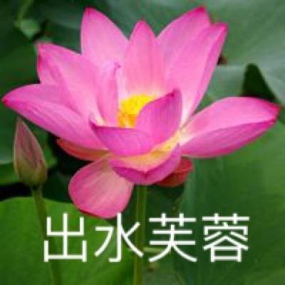 你懂的国产视频