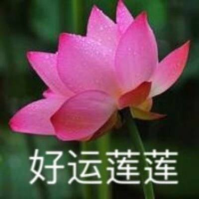橄榄球联盟赛