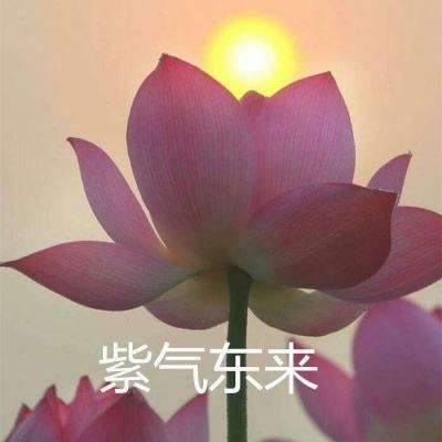 男女健身房play小说