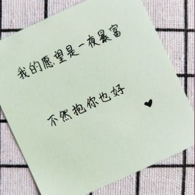 宠物染色游戏