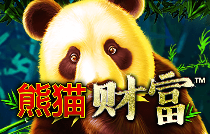 拳击女王周晓琳第5集