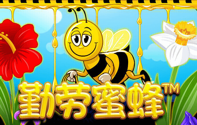 小松鼠体育全能