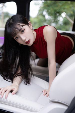 领养一只小兔子
