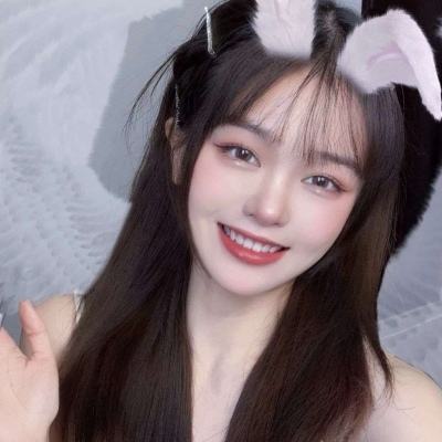 英勇骑士团无敌版