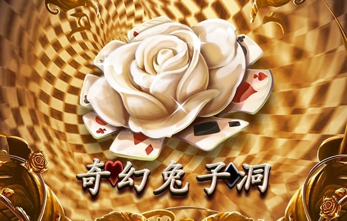 天为20周产品推荐